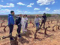 Da Bilbao, due gite di Rioja Wineries Day con pranzo al sacco - Housity