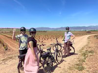 Da Bilbao, La Rioja Wine Tour di E-Bike con degustazioni di vino - Housity