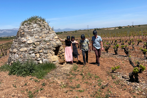 Von Bilbao aus: La Rioja Wein-Tour mit dem E-Bike und Weinverkostung