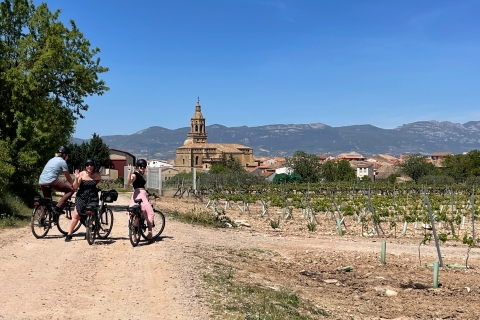 From Bilbao: La Rioja Wine Tour by E-Bike with Wine Tastings