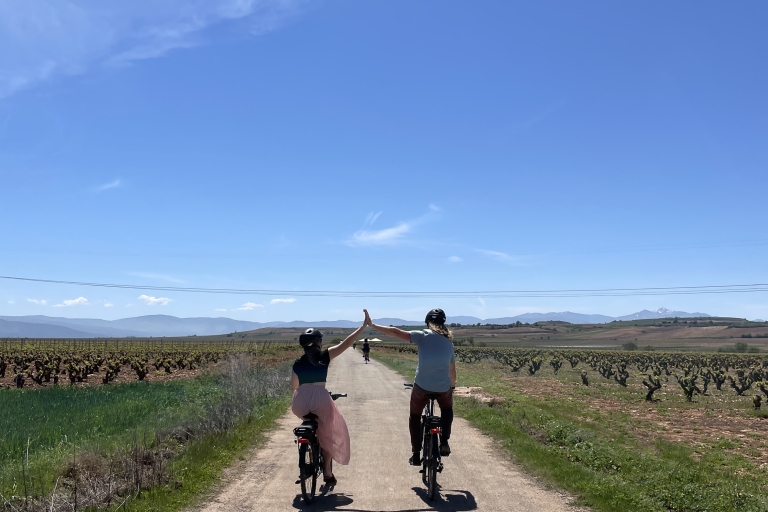 Desde Bilbao: Ruta del Vino de La Rioja en E-Bike con Catas de Vino