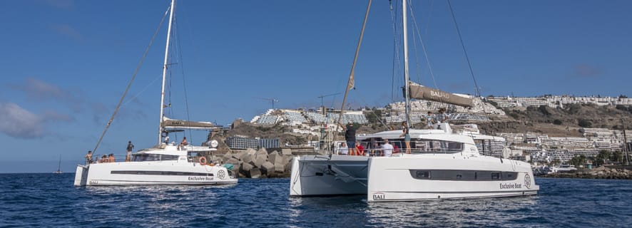 Private Catamaran Charter along the Southwest Coast