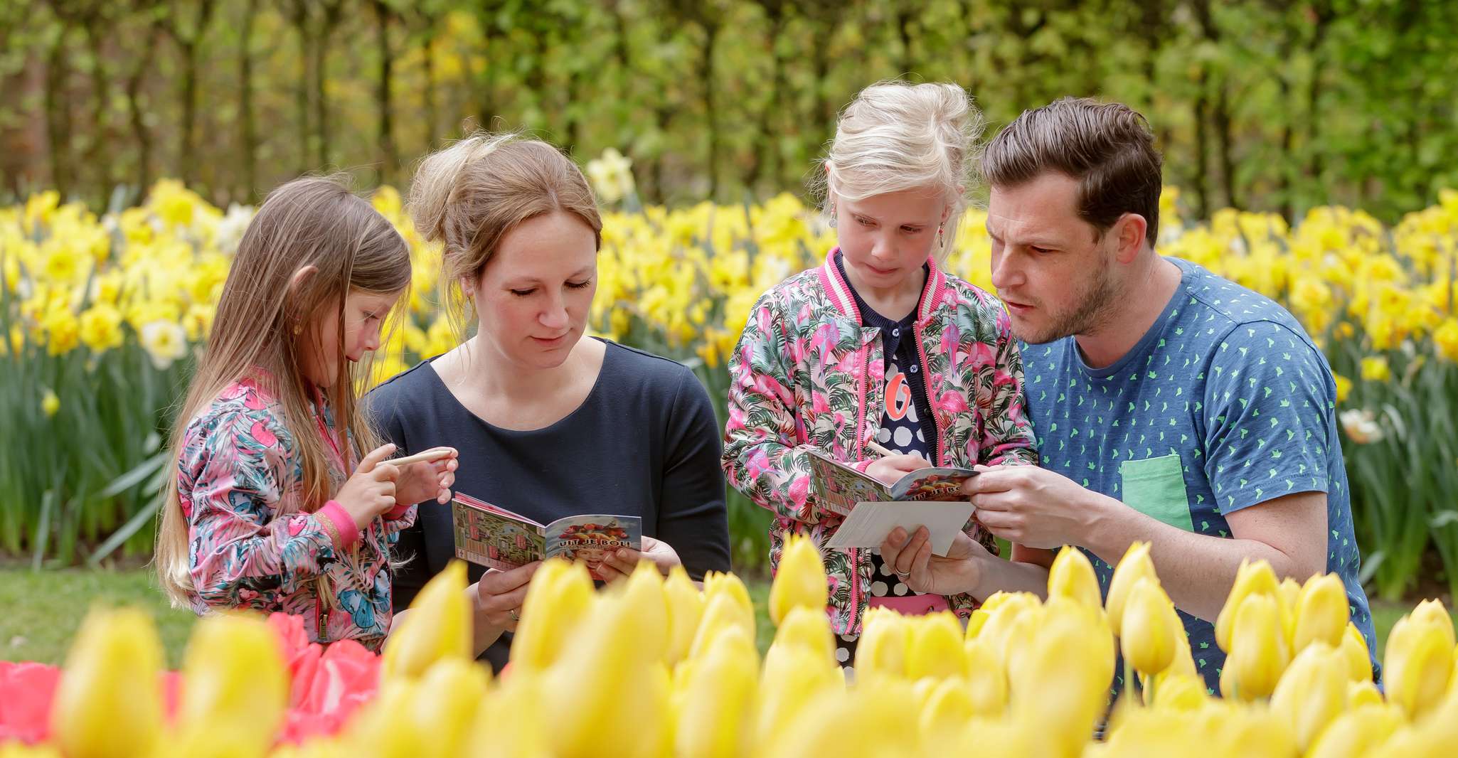 Keukenhof, Entry Ticket - Housity