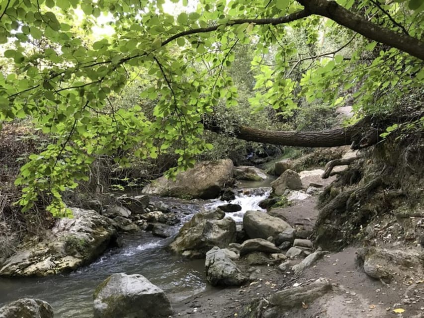 Granada Escursione Guidata Di Un Giorno A Los Cahorros De Monachil