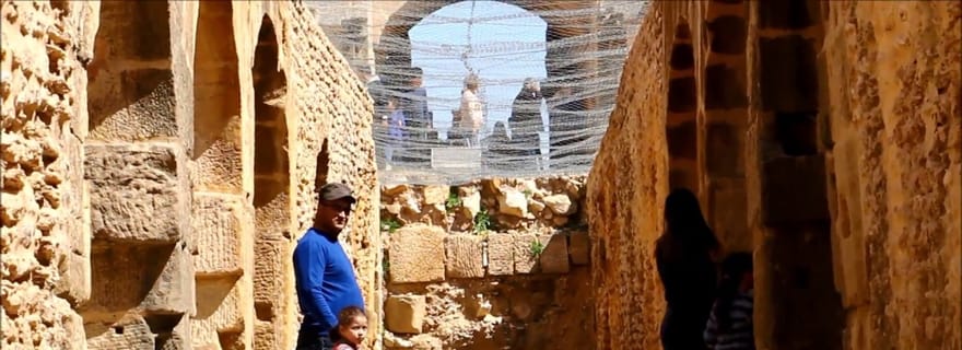 Au départ de Tunis : visite guidée de l'Oudhna et du Zaghouan avec guide et déjeuner