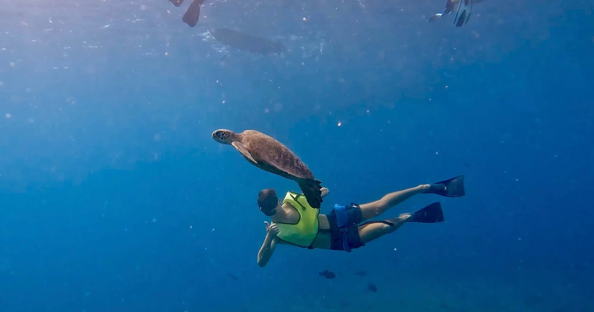 Málaga Boat Tour w/ Snorkeling, Water Activities, and Lunch GetYourGuide