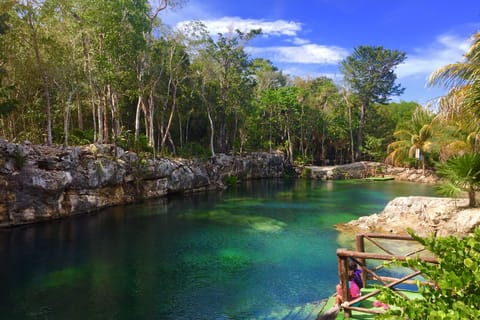 Cenote Casa Tortuga; scopri 4 cenotes