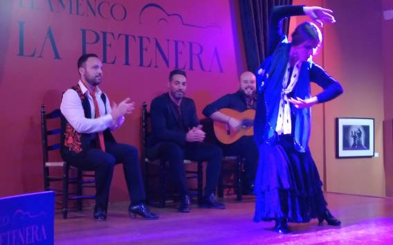 Granada: Flamenco-Show im Tablao Flamenco La Petenera