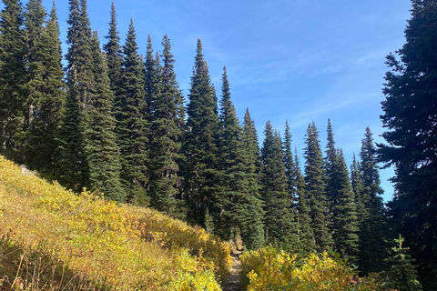 Vancouver/Squamish: Garibaldi Park Panorama Ridge Hike
