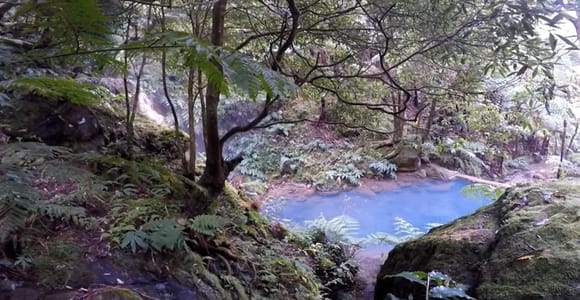 Lagoa do Fogo: Von einem Biologen geführte Vulkan-Geo-Tour + heiße Quellen