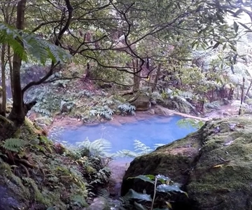 Lagoa do Fogo: Guided Volcano Geo Tour w/ Hotsprings Bathing