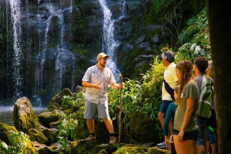 Big Island: aventura de día completo a través de las cascadas de KohalaTour grupal compartido