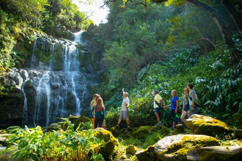 Big Island: Full Day Adventure through Kohala Waterfalls Shared Group Tour