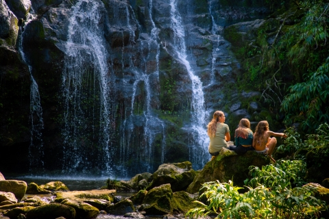 Big Island: Ganztägige Abenteuertour mit Kohala-WasserfällenGruppentour