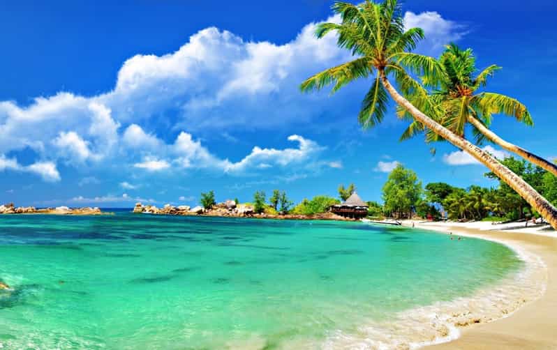 From Hoi An: Cham Islands Tour with Snorkeling and Lunch