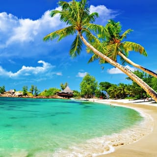 From Hoi An: Cham Islands Tour with Snorkeling and Lunch