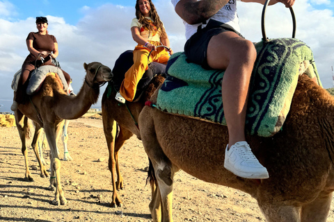 Marrakesz: Agafay Quad Tour z przejażdżką na wielbłądzie, kolacją i pokazemMarrakesz: Agafay Desert Quad Bike, Przejażdżka na wielbłądzie i Dinner Show