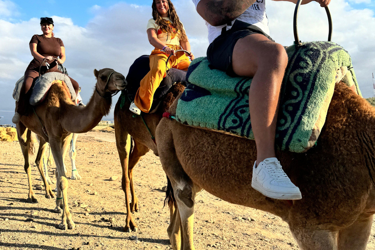 Marrakesz: Agafay Quad Tour z przejażdżką na wielbłądzie, kolacją i pokazemMarrakesz: Agafay Desert Quad Bike, Przejażdżka na wielbłądzie i Dinner Show