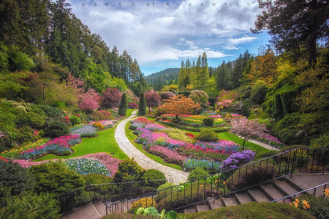 From Vancouver: Victoria City and Butchart Gardens Tour Vancouver-Victoria City Butchart Gardens Tour Group 6-10