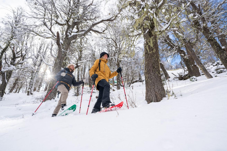 Cerro Lopez: 4x4 Adventure With Fondue and Transfers