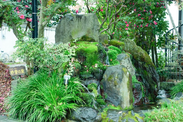 Visit Aso Monzenmachi Walking Tour with Spring Water and Herb Tea in Kumamoto