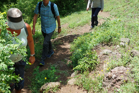 Armenia: Tour privado de 7 días por lo más destacado de Armenia, con comidas