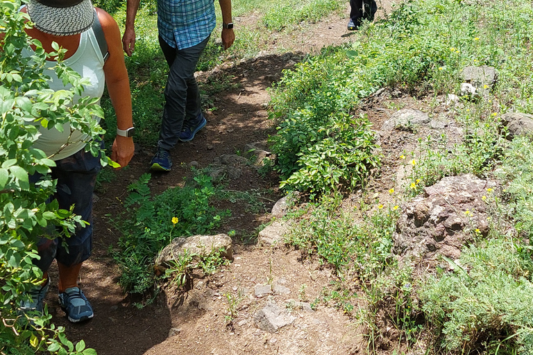 Armenia: Tour privado de 7 días por lo más destacado de Armenia, con comidas