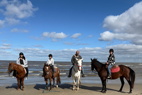 Montevideo: Horseback riding on a trail to the Beach