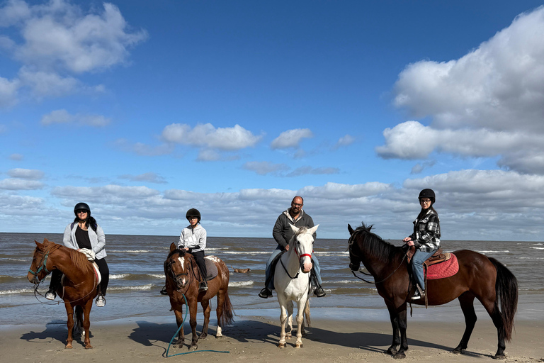 Montevideo: Horseback riding on a trail to the Beach