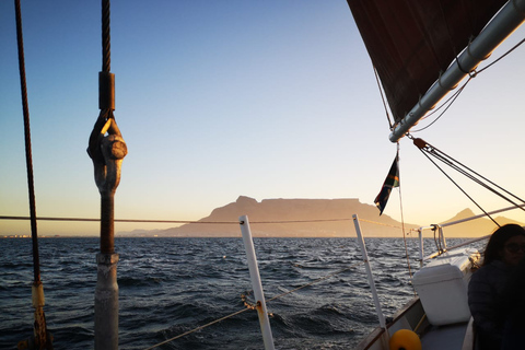 Le Cap : Croisière au coucher du soleil depuis le V&A Waterfront avec bulles de champagne