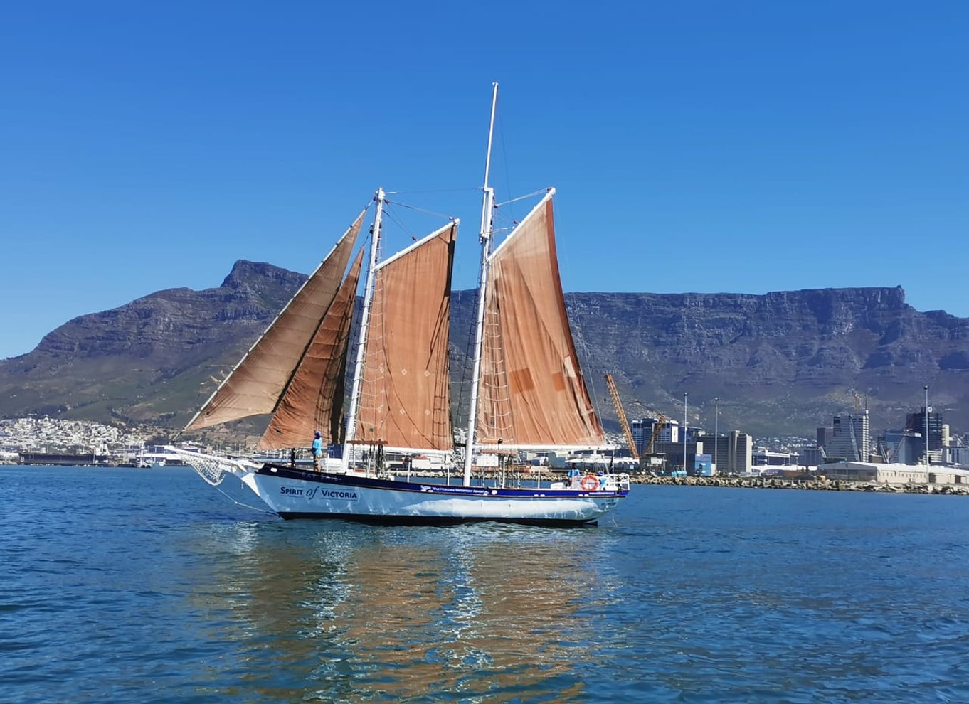 Cape Town: Solnedgangskrydstogt fra V&A Waterfront med bobler