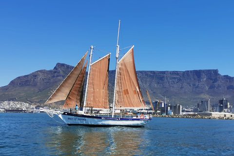 Le Cap : Croisière au coucher du soleil depuis le V&A Waterfront avec bulles de champagne