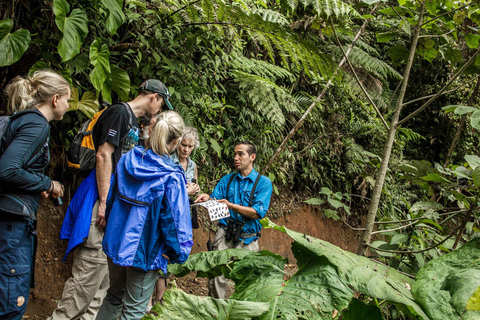 Desde Monteverde: Caminata guiada por el Puente Colgante de MonteverdePaseo por el cielo desde Monteverde