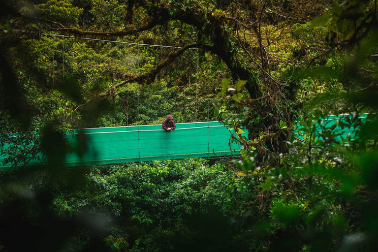 Desde Monteverde: Caminata guiada por el Puente Colgante de MonteverdePaseo por el cielo desde Monteverde