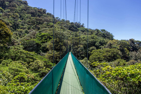 From Monteverde: Monteverde Suspension Bridge Guided HikeSky Walk From Monteverde