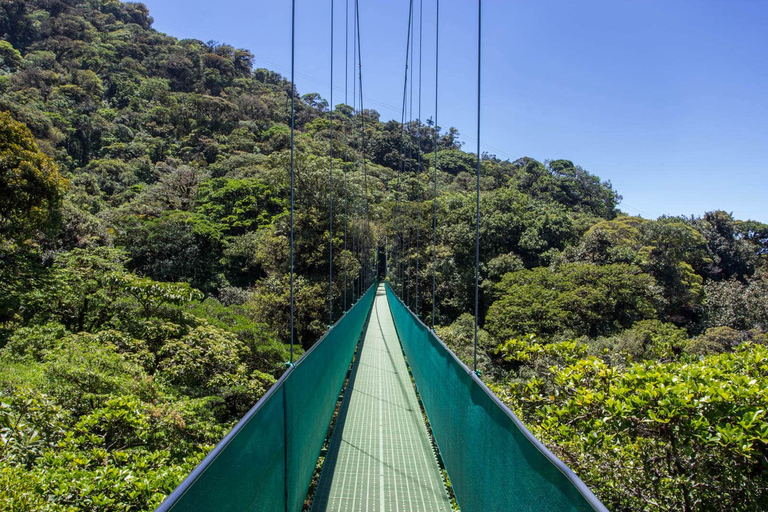 Desde Monteverde: Caminata guiada por el Puente Colgante de MonteverdePaseo por el cielo desde Monteverde