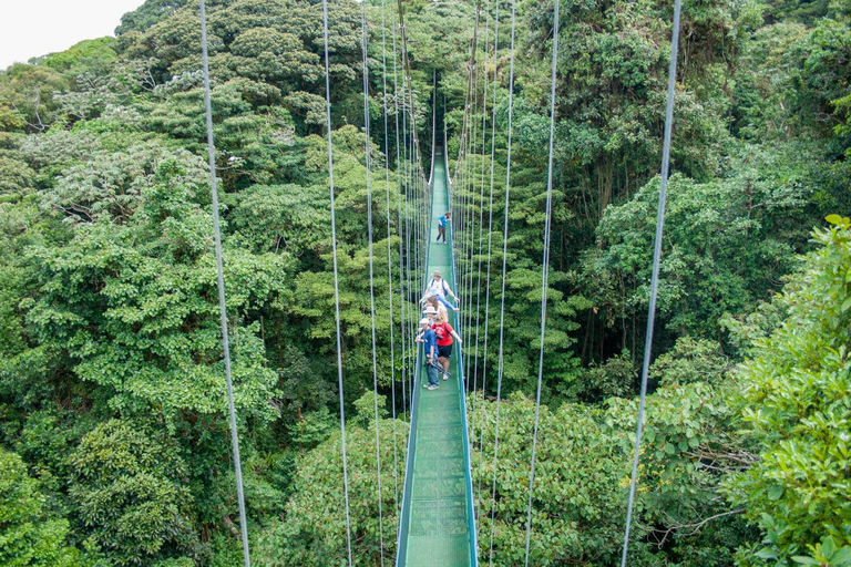 Desde Monteverde: Caminata guiada por el Puente Colgante de MonteverdePaseo por el cielo desde Monteverde