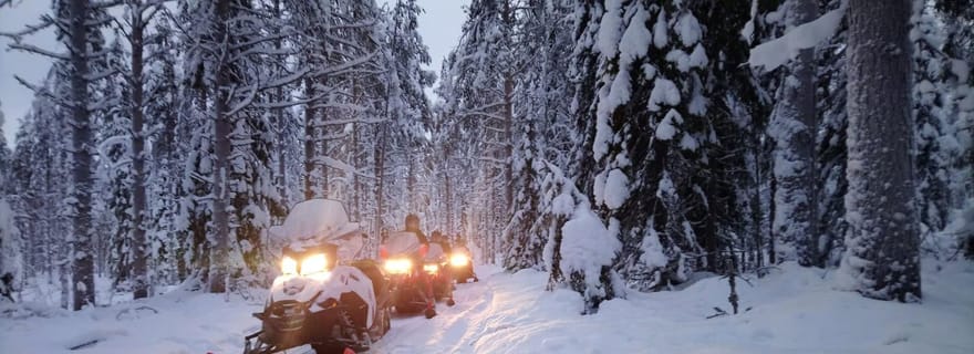 Kemi-Tornio : Safari forestier en motoneige avec boissons chaudes et collations