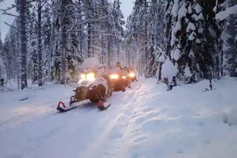 Kemi-Tornio: Skovsafari på snescooter med varme drikke og snacks