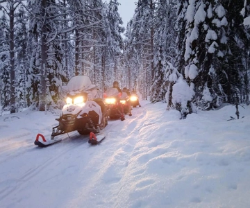 Kemi-Tornio: Snowmobile Forest Safari w/ Hot Drink & Snacks