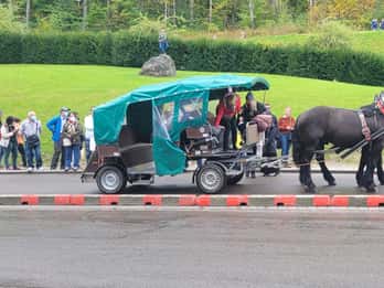 Bavarian Highlights Private Day Tour