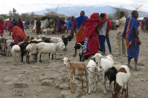 Desde Arusha: Descubre la verdadera África desde el Lago ManyaraOpción Estándar