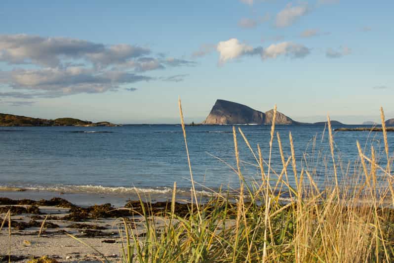 Von Tromsø aus Sommarøy Geführte Kajaktour GetYourGuide