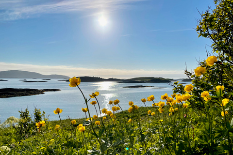 Vanuit Tromsø: Kajaktocht op zee bij Sommarøy met transfer