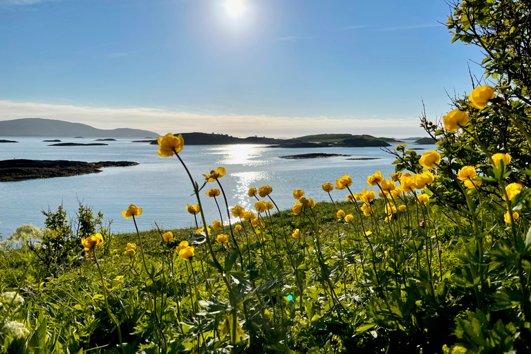 Desde Tromsø: Excursión en kayak de mar en Sommarøy con traslado