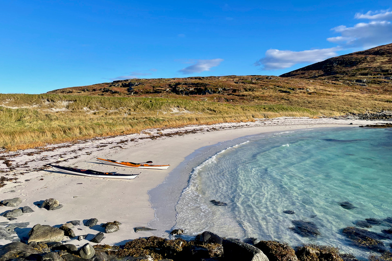 De Tromsø: Passeio de caiaque no mar em Sommarøy com traslado