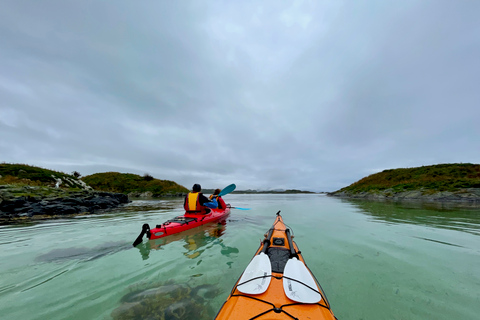 Da Tromsø: Tour in kayak in mare a Sommarøy con trasferimento