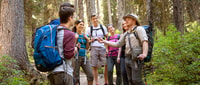 From Rome, Via Sacra Romana and Lakes Hiking Tour with Pasta - Hizvo