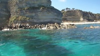 Tropea, Costa degli Dei Cruise - Hizvo