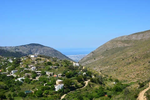 Jeeptour: Enjoy the beauty of eastern Crete in half a day.